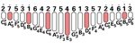 DUAL D2/D2PRO 21 Key Advanced Kalimba | Designed by April Yang