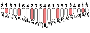 DUAL D2/D2PRO 21 Key Advanced Kalimba | Designed by April Yang