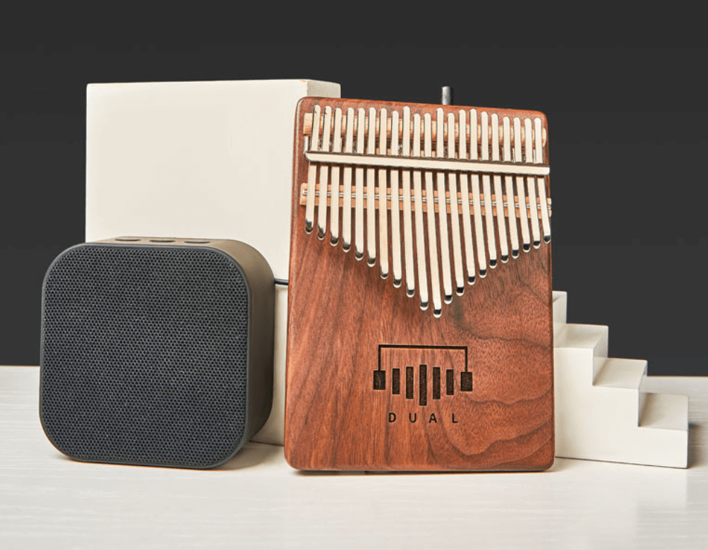 DUAL D2/PRO 21 Key Advanced Kalimba | April Yang New Design