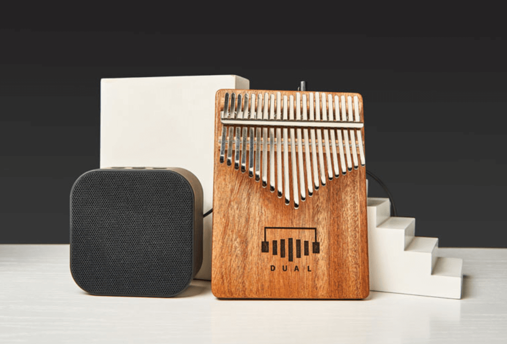 DUAL D2/D2PRO 21 Key Advanced Kalimba | Designed by April Yang