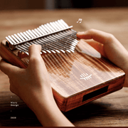 Musical Instruments Birthday Gifts Valentine's Day Gifts