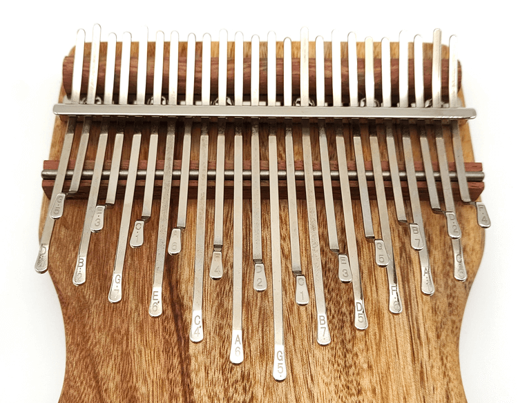 New Gecko 24 Key Kalimba | Camphor Wood Musical Instrument | Thumb ...