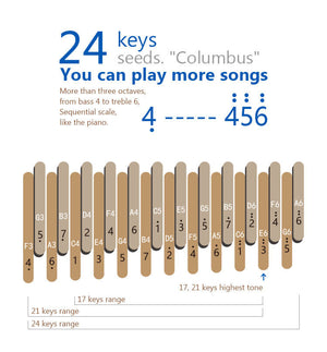 Seeds Double-layer 24-key Kalimba | Columbus